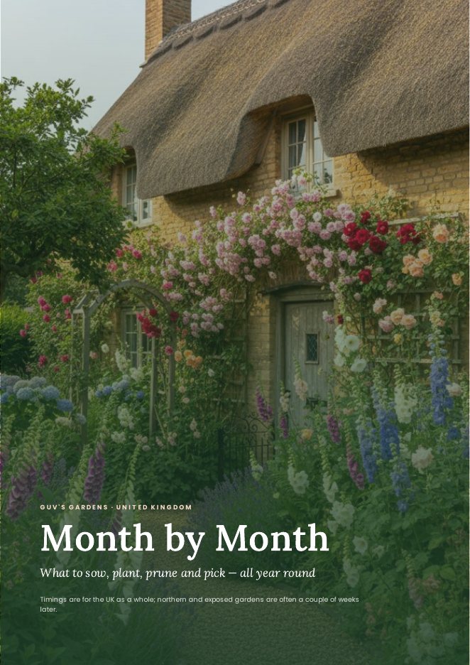 Month-by-Month Calendar cover