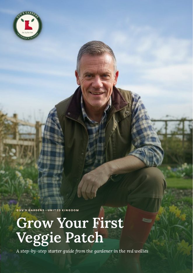 Grow Your First Veggie Patch cover