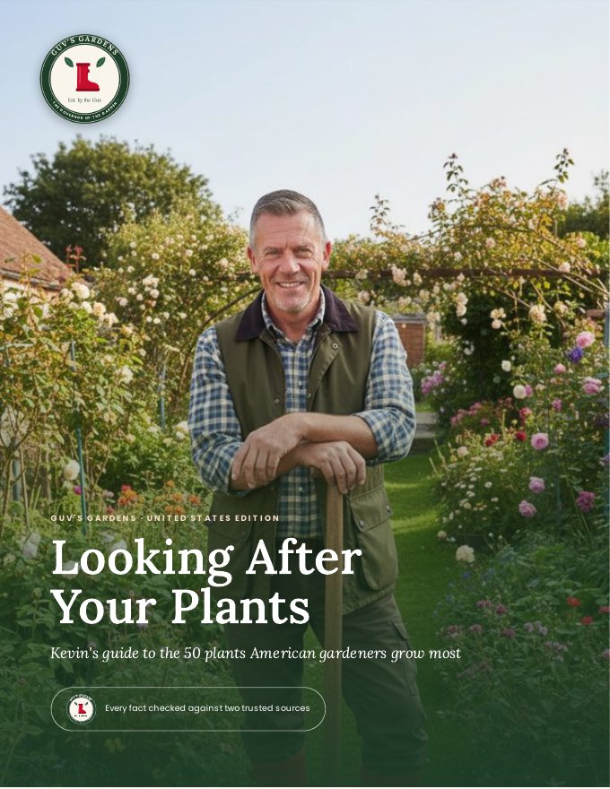 Looking After Your Plants cover
